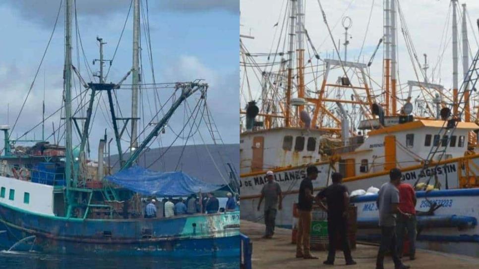 Desalentador inicio de temporada de pesca de camarón en Topolobampo