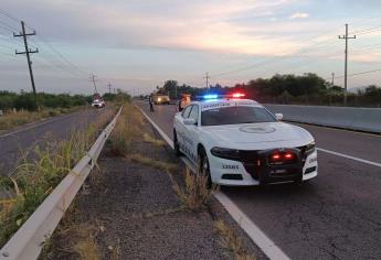 Adulto mayor perdió la vida tras ser atropellado por la carretera Culiacán-Eldorado