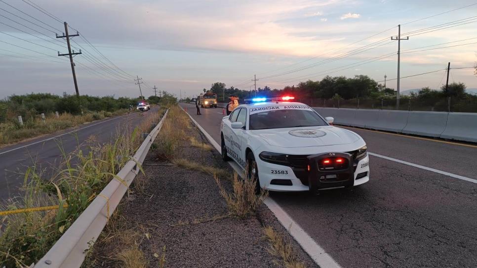 Adulto mayor perdió la vida tras ser atropellado por la carretera Culiacán-Eldorado