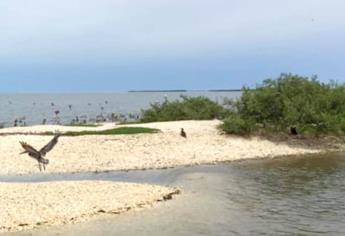 ¿Cómo llegar desde Culiacán a la hermosa playa poco conocida de Sinaloa?