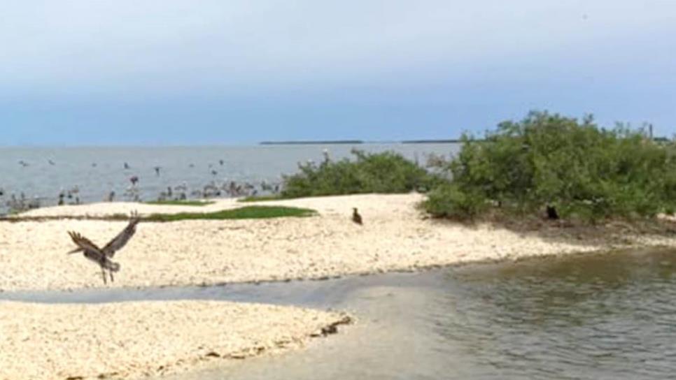 ¿Cómo llegar desde Culiacán a la hermosa playa poco conocida de Sinaloa?