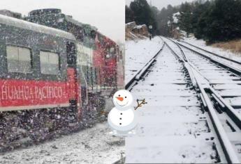 Tren Chepe Express: ¿cuáles son las fechas para disfrutar de paisajes similares a los Alpes suizos?