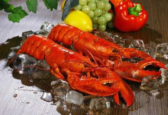 Esta comida era considerada una plaga y hasta era alimento para cerdos; hoy es un lujo comerla