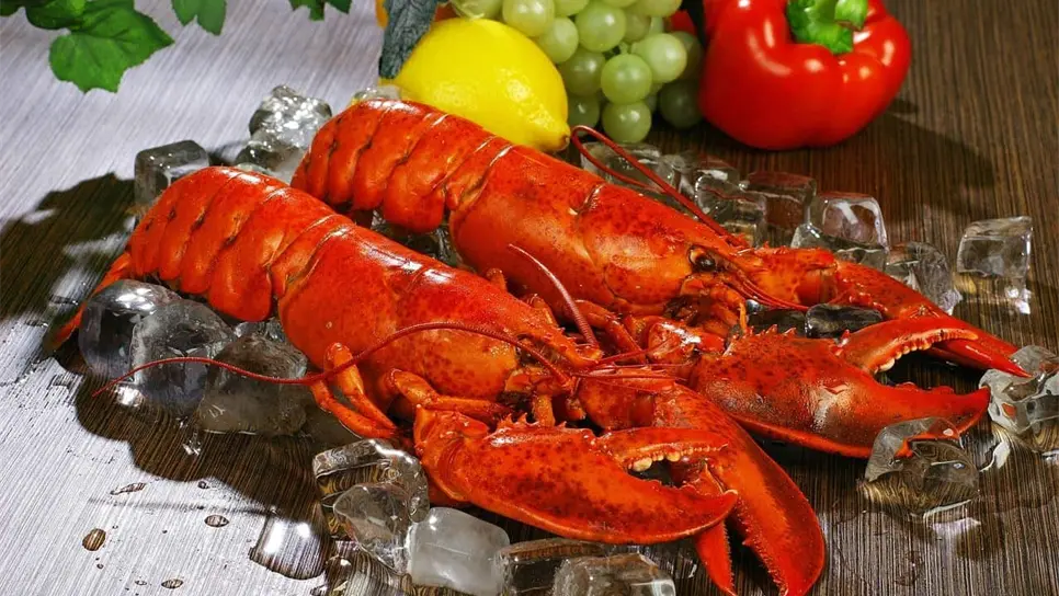 FOTO: La langosta.