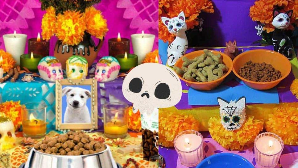 Día de Muertos 2024: esto debe llevar una ofrenda para tu mascota que partió al otro mundo