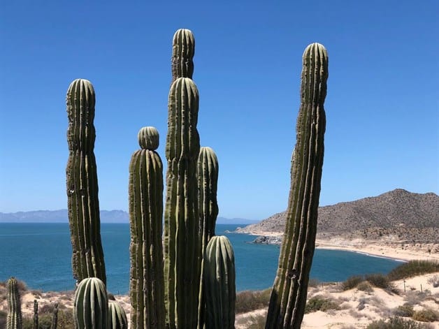 Imagen Placeholder Imagen Placeholder