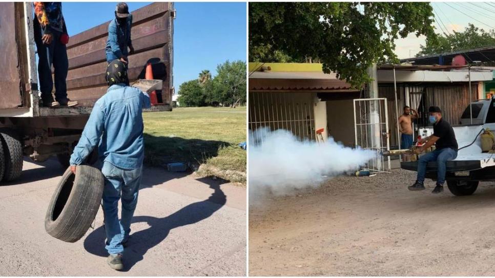 Estas 26 colonias de Los Mochis son un riesgo de criaderos del mosco del dengue