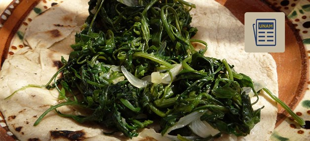 Imagen Placeholder Imagen Placeholder