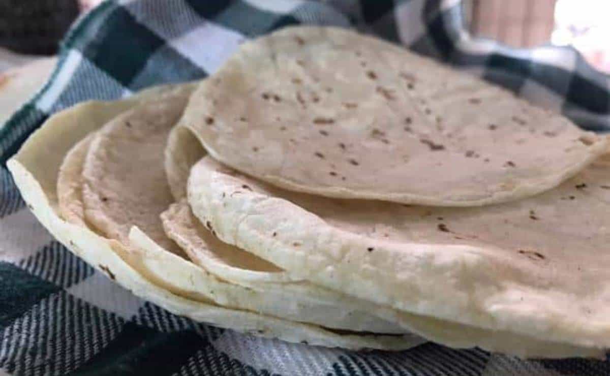 Precio de la tortilla no depende de productores, sino de la industria: Canacintra