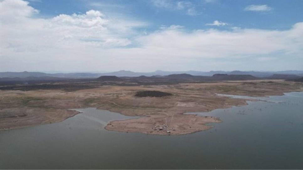 Sinaloa de frente al peor ciclo agrícola de su historia: CAADES