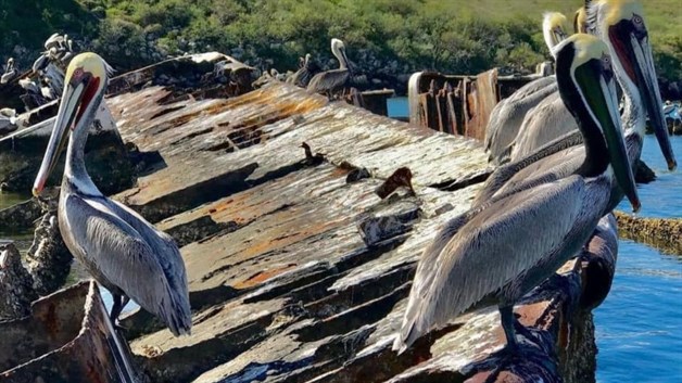 Imagen Placeholder Imagen Placeholder