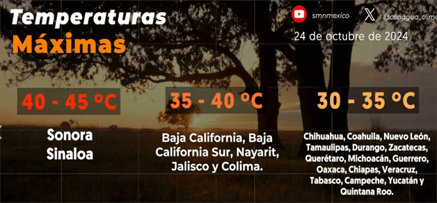 Imagen Placeholder Imagen Placeholder