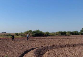 Hallan a un hombre sin vida en un predio agrícola de Goros II en Ahome