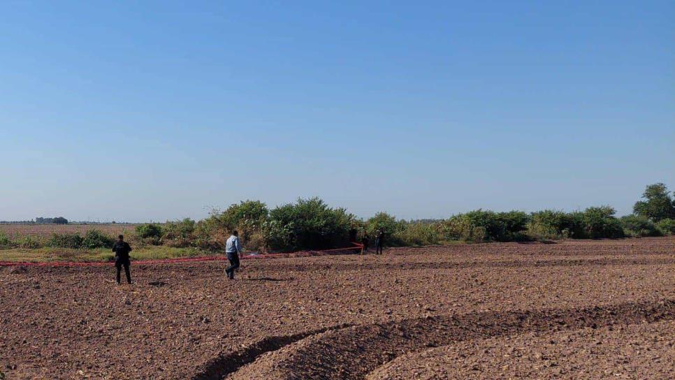 Hallan a un hombre sin vida en un predio agrícola de Goros II en Ahome