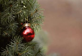 ¿El Árbol de Navidad pasó de moda? Ahora esta es la nueva tendencia