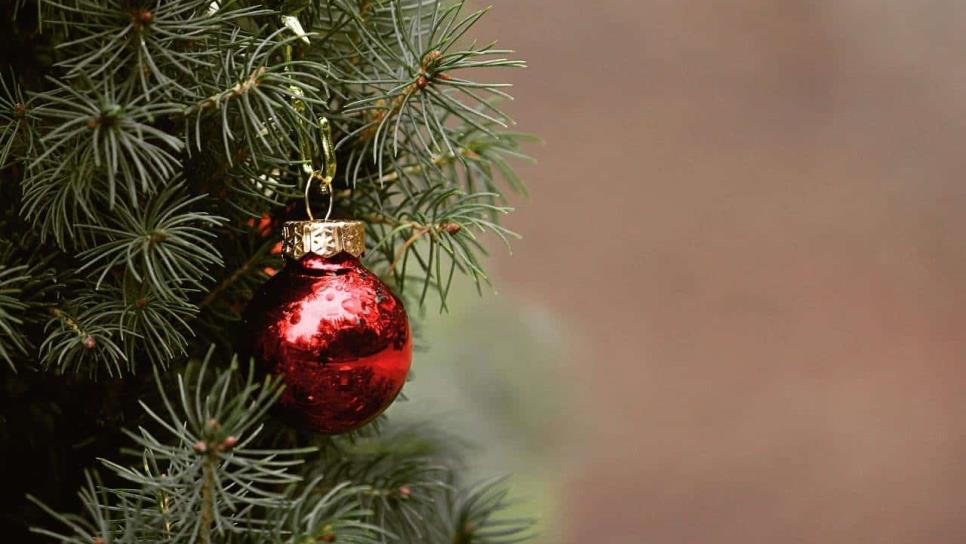 ¿El Árbol de Navidad pasó de moda? Ahora esta es la nueva tendencia