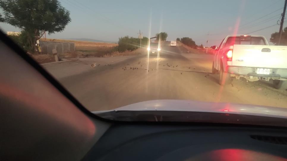 Bloquean la carretera a Eldorado con ponchallantas; retiran tráiler y liberan la zona