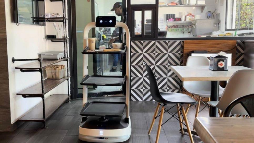 Conoce a Cío el robot que sirve crepas y café en Culiacán