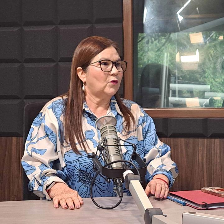 Situación en Culiacán es peor que un desastre natural: Imelda Castro