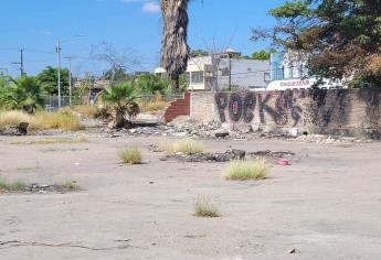 ¿Qué pasó con el terreno de la Pepsi Vieja en Los Mochis?