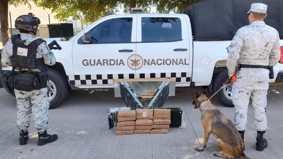 Guardia Nacional asegura 13 kilos de metanfetamina en una paquetería en Culiacán