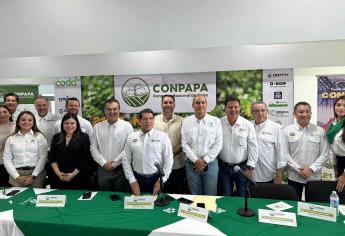 Papas Mochis, las mejores de México: Invitan al próximo CONPAPA