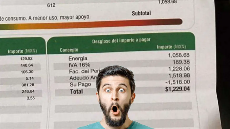 FOTO: Recibos en CFE.