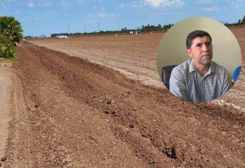 El 60% de la tierra quedará ociosa por sequía en El Carrizo