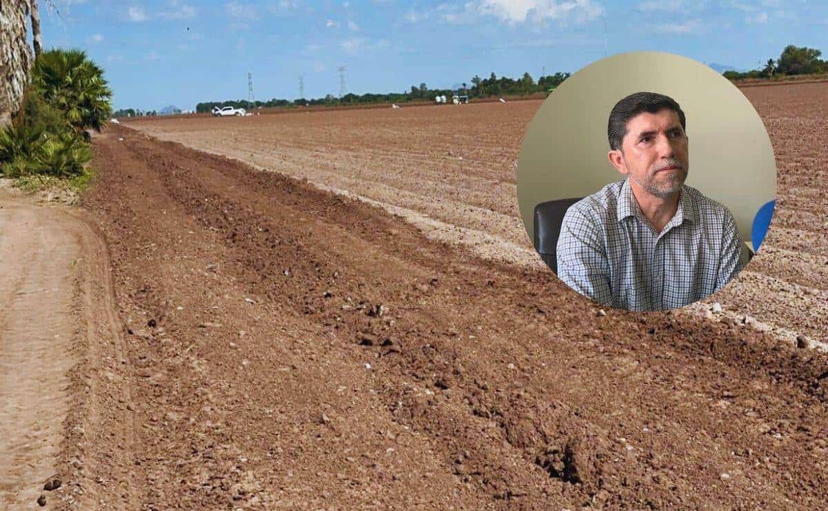 El 60% de la tierra quedará ociosa por sequía en El Carrizo