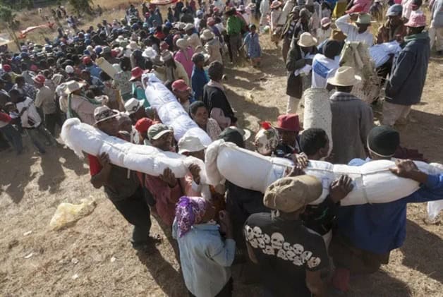 Imagen Placeholder Imagen Placeholder