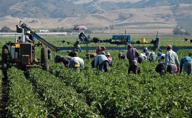 Imagen Placeholder Imagen Placeholder