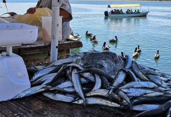 Playa Norte de Mazatlán, referente de la pesca en el sur de Sinaloa