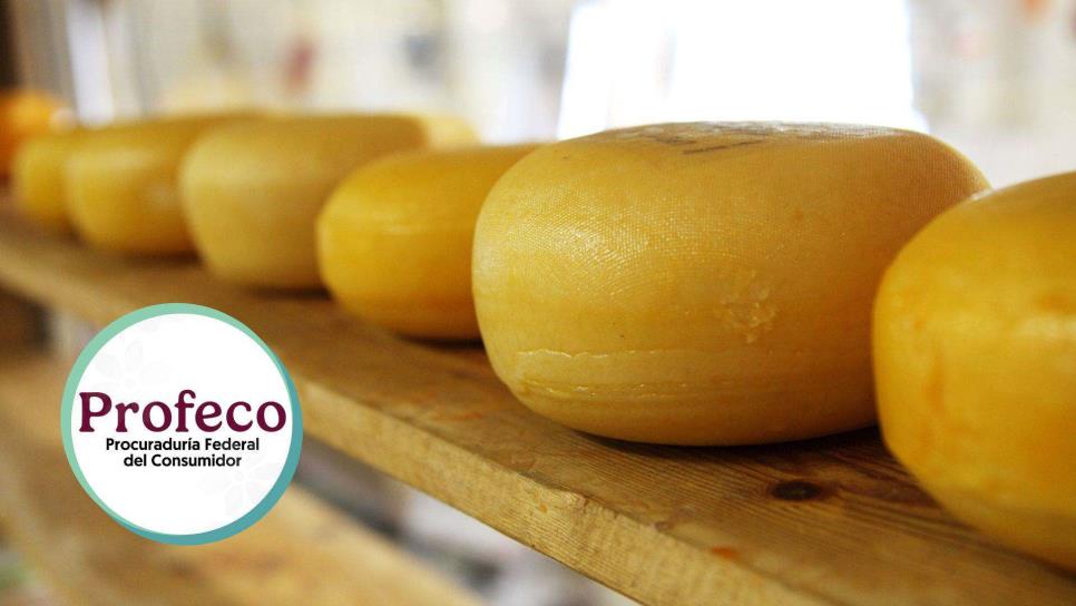 ¡Que no te engañen! Truco para identificar un buen queso contra uno falso