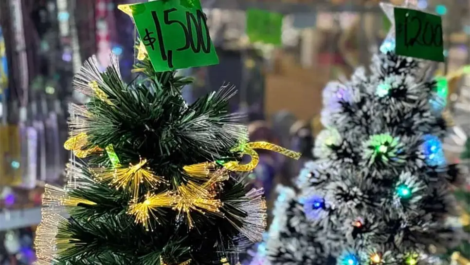 FOTO: Kathya Zamacona