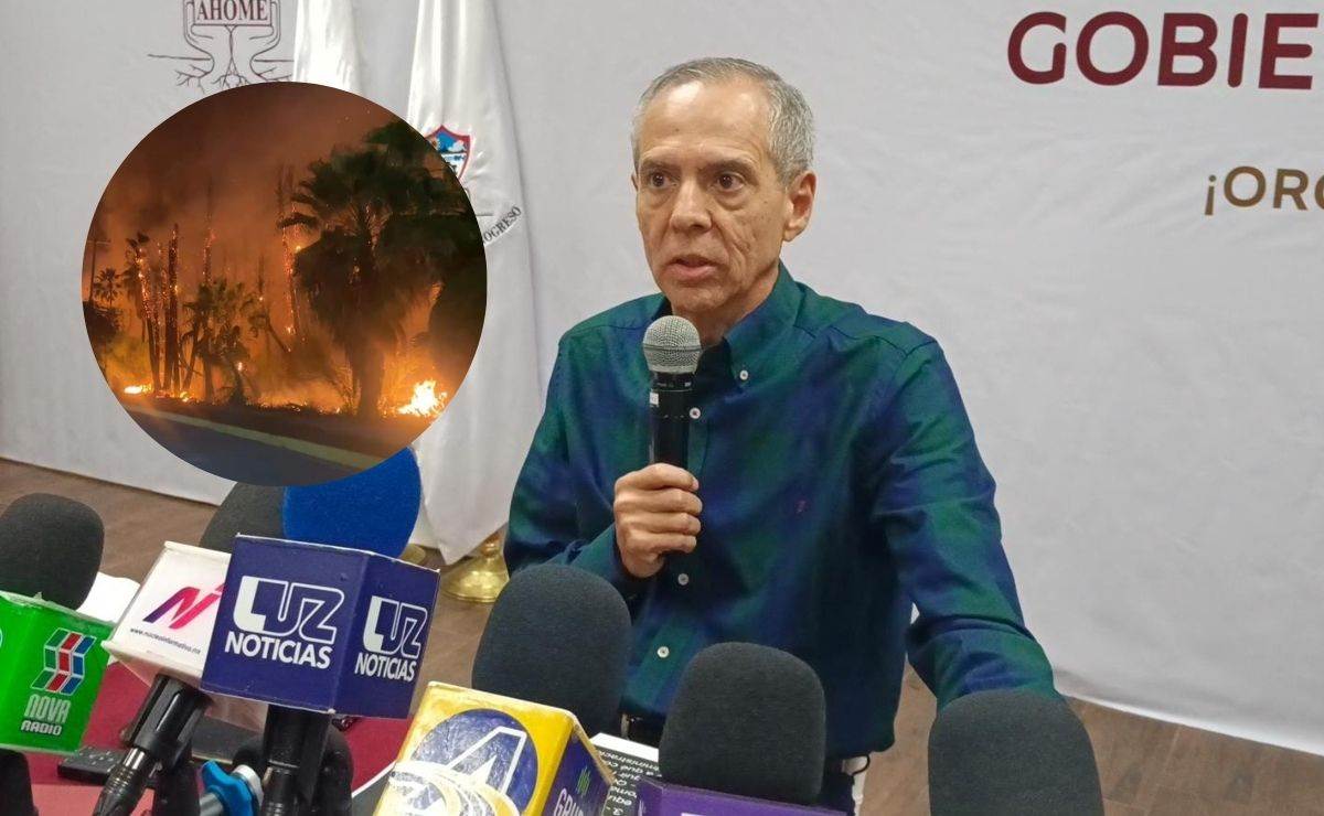 Nosotros no estamos para limpiar ni cuidar terrenos particulares, Gerardo Vargas ante incendio de palmas en Los Mochis
