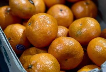 Descubre los beneficios de la mandarina, fruta de la temporada de invierno