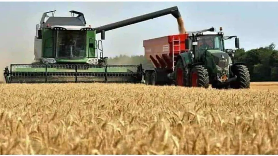 FOTO: Esthela García.