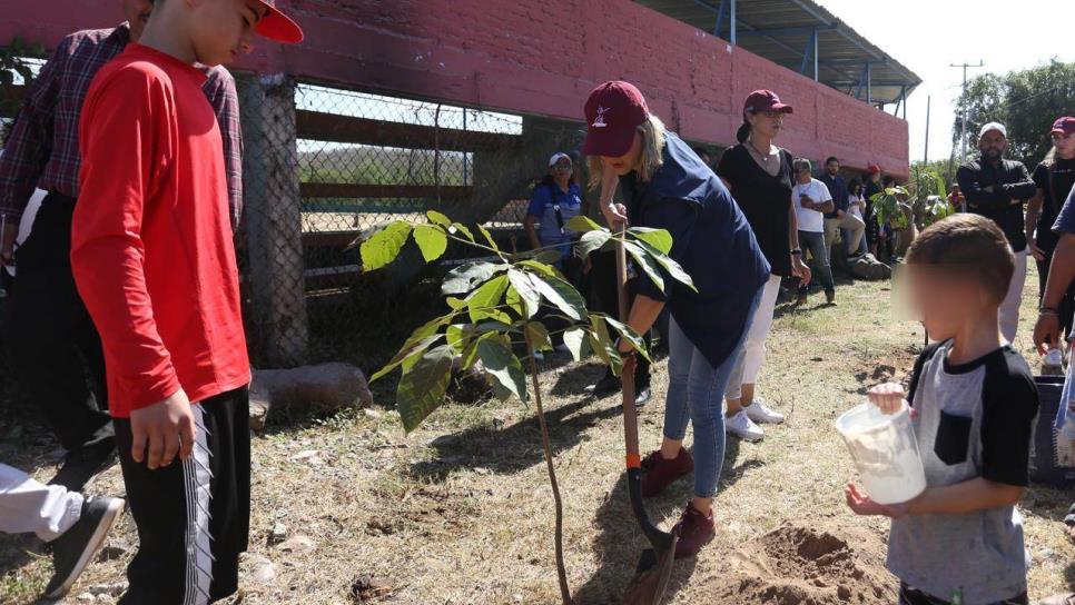 Estrella Palacios lleva programa de arborización a la zona rural de Mazatlán