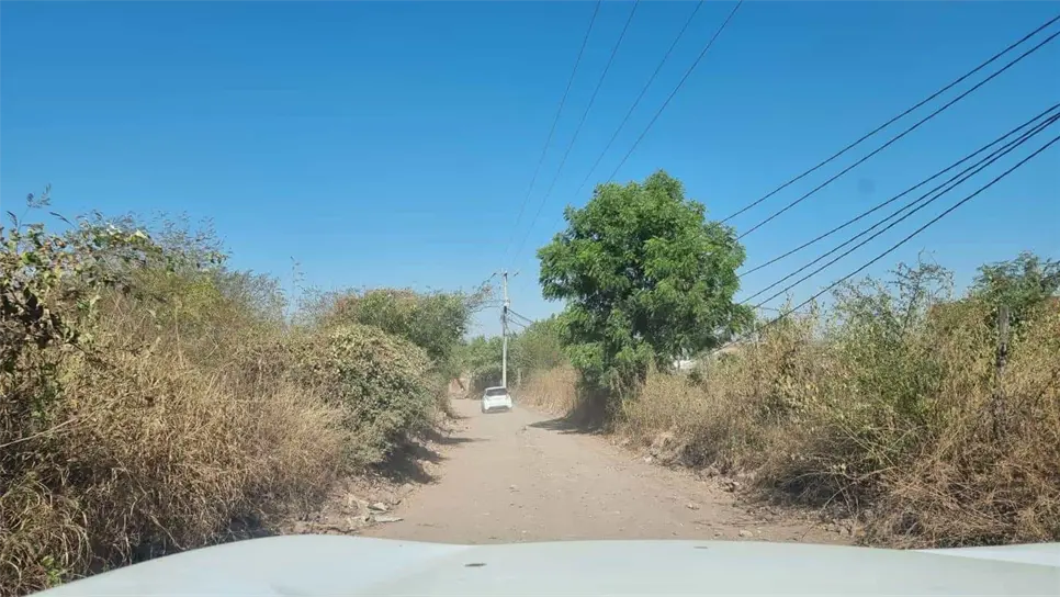 FOTO: Luis Ramírez.