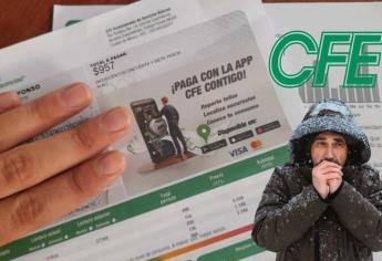 CFE aplicará descuento especial en recibo de luz para quienes vivan en estas zonas de frío