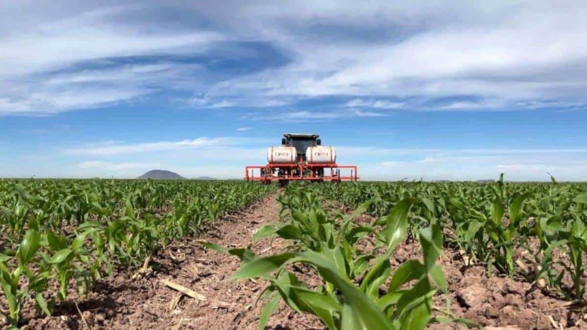 Empresarios de Sinaloa piden reconsiderar recortes al presupuesto agrícola 2025