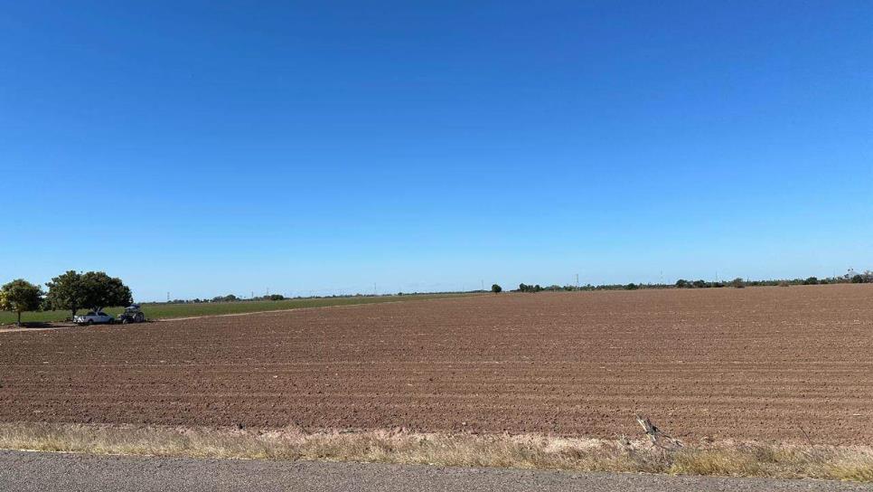 ¿Por qué no hay cultivos en el prolífero Valle del Carrizo?