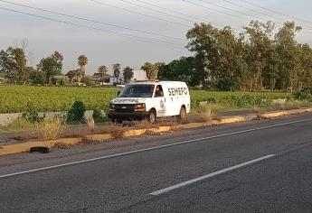 Identifican a los siete ejecutados en la maxipista; eran del municipio de Elota