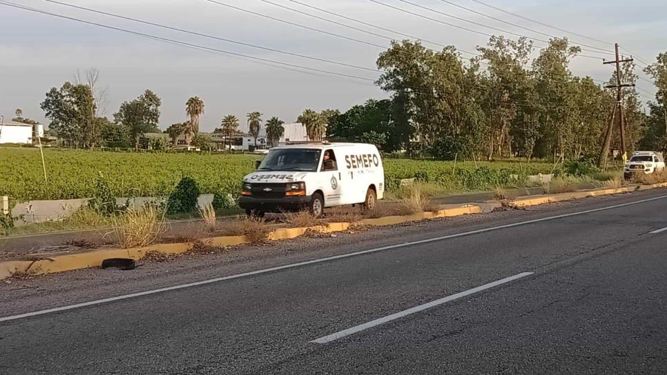 Identifican a los siete ejecutados en la maxipista; eran del municipio de Elota