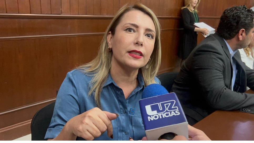 Hay que analizar el tercer informe de Rocha, haciendo énfasis en la seguridad: Roxana Rubio