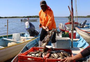 Sinaloa va por depurar padrón del Bienpesca