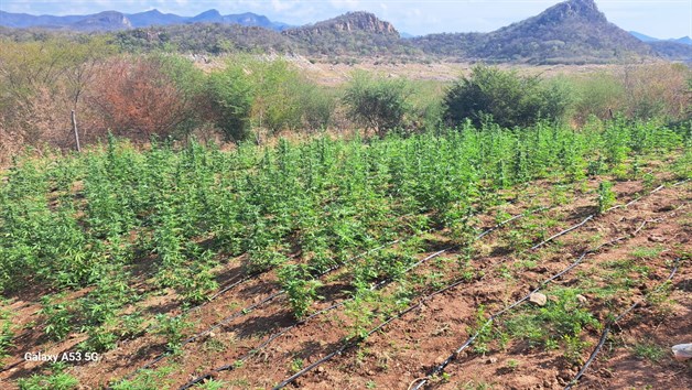 Imagen Placeholder Imagen Placeholder