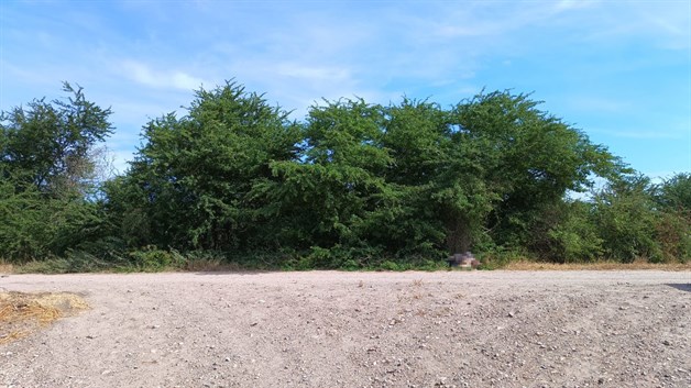 Imagen Placeholder Imagen Placeholder