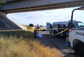 Encuentran a un hombre encobijado en San Pedro, municipio de Navolato