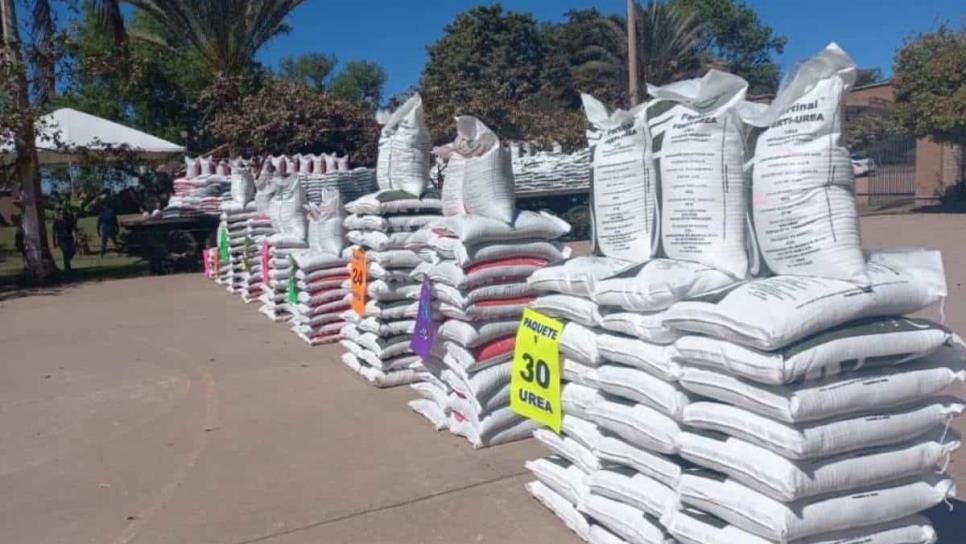 Productores de Sinaloa en riesgo de perder Fertilizantes del Bienestar